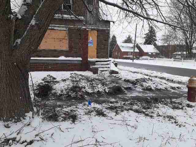 Testing again(100).jpg